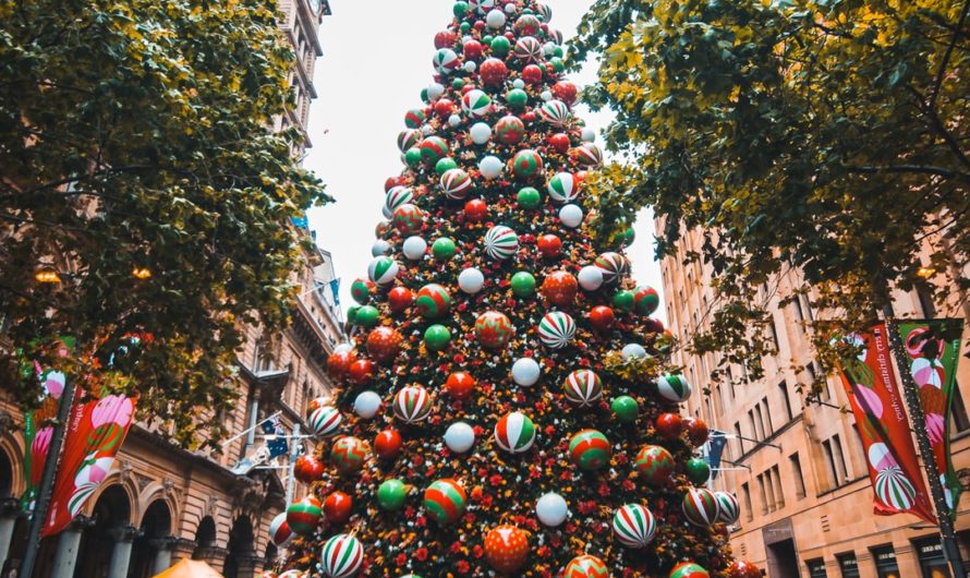 Noël en Australie : tout ce qu’il faut savoir pour réussir cette fête