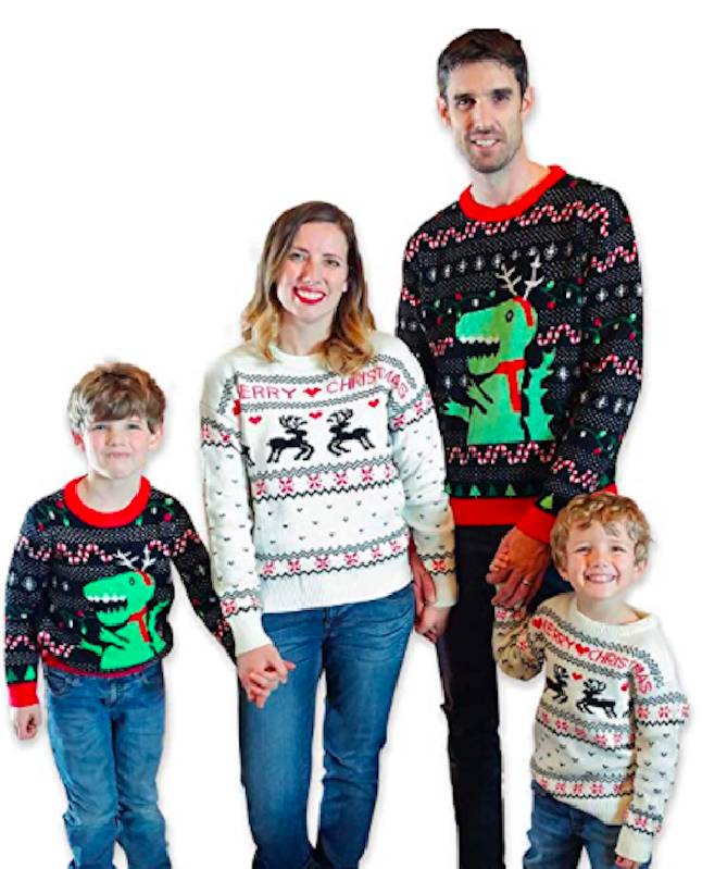 pull de noel famille drole